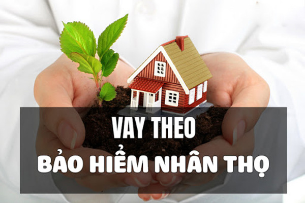 ngan-hang-nao-cho-vay-theo-bhnt-lai-suat-thap-nhat